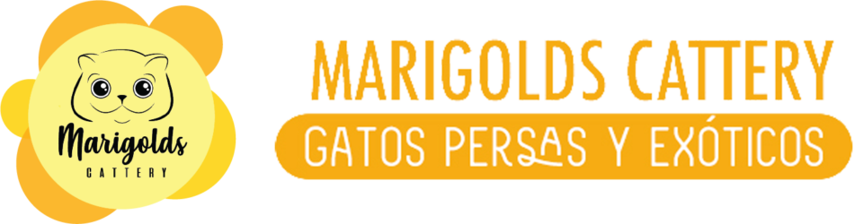 Marigolds Cattery, logotipo con banner